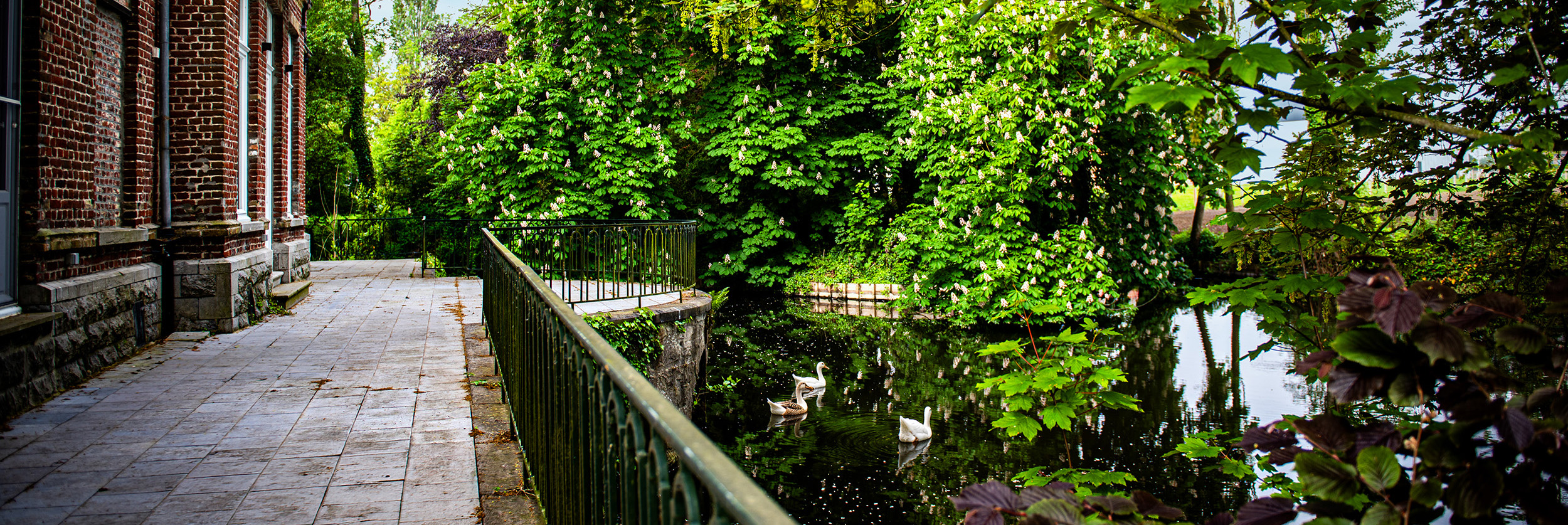 ReigerBurg_KasteelDomein_17 Parkvijver