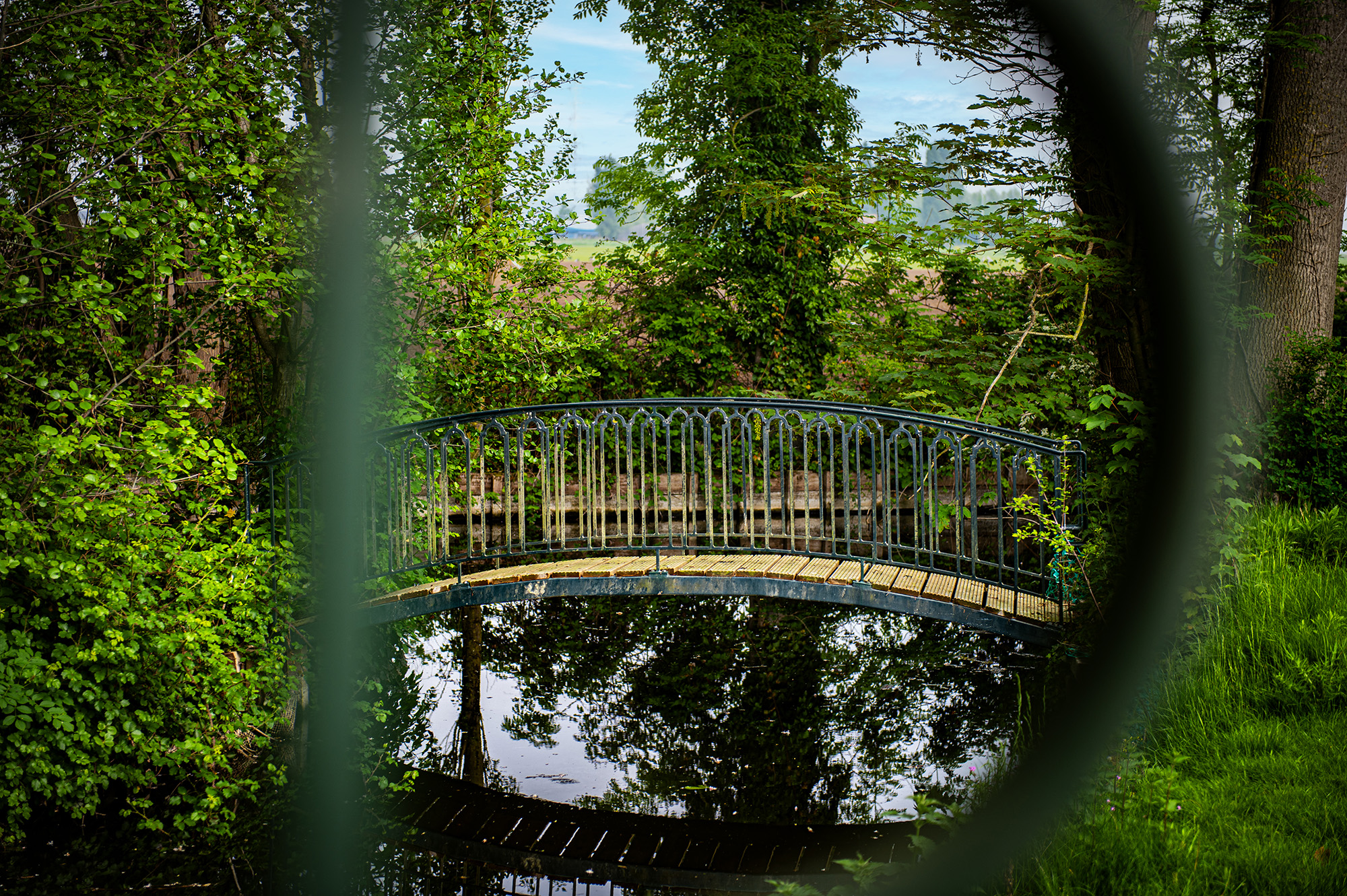 Parktuin