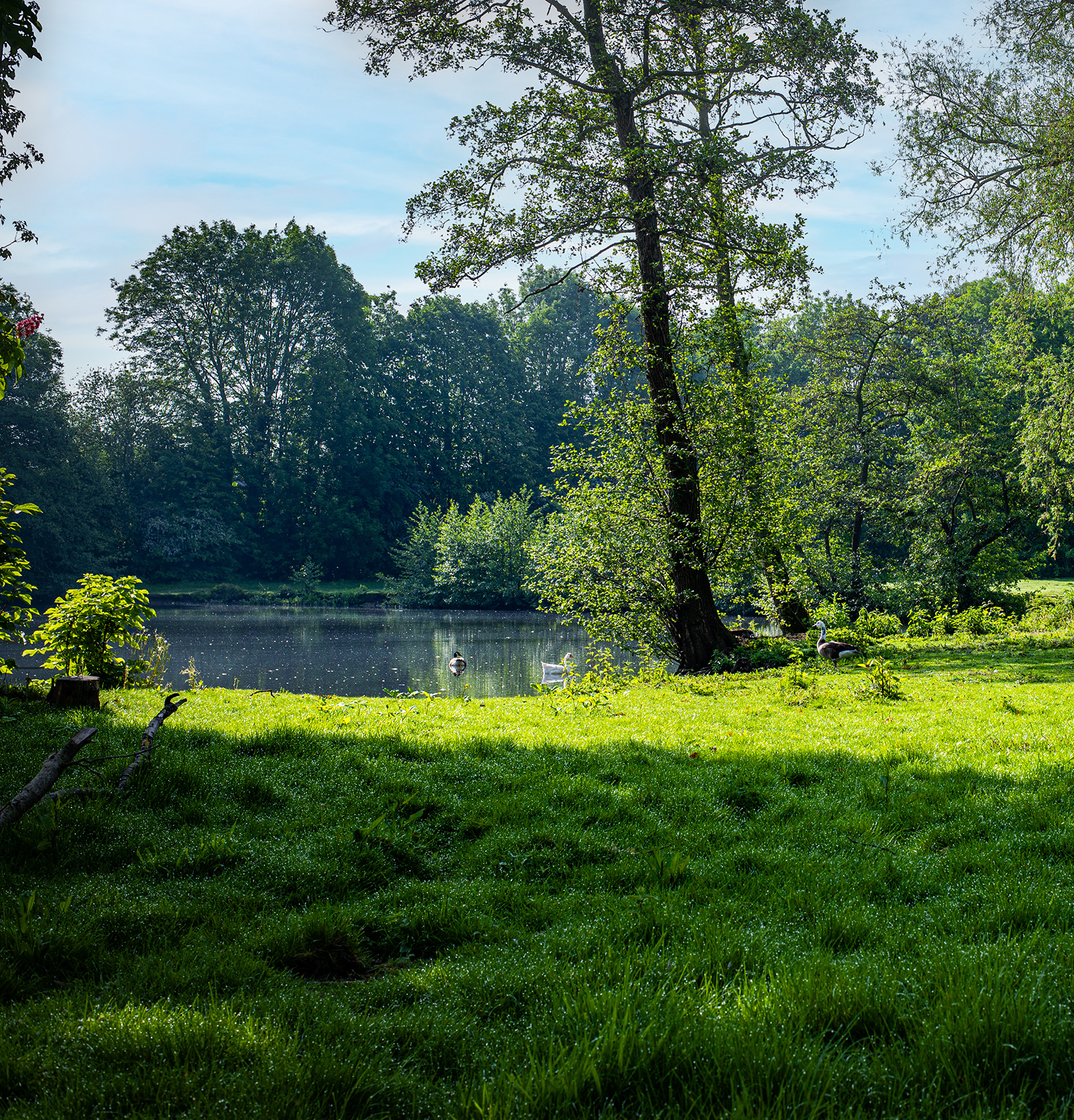 Parktuin