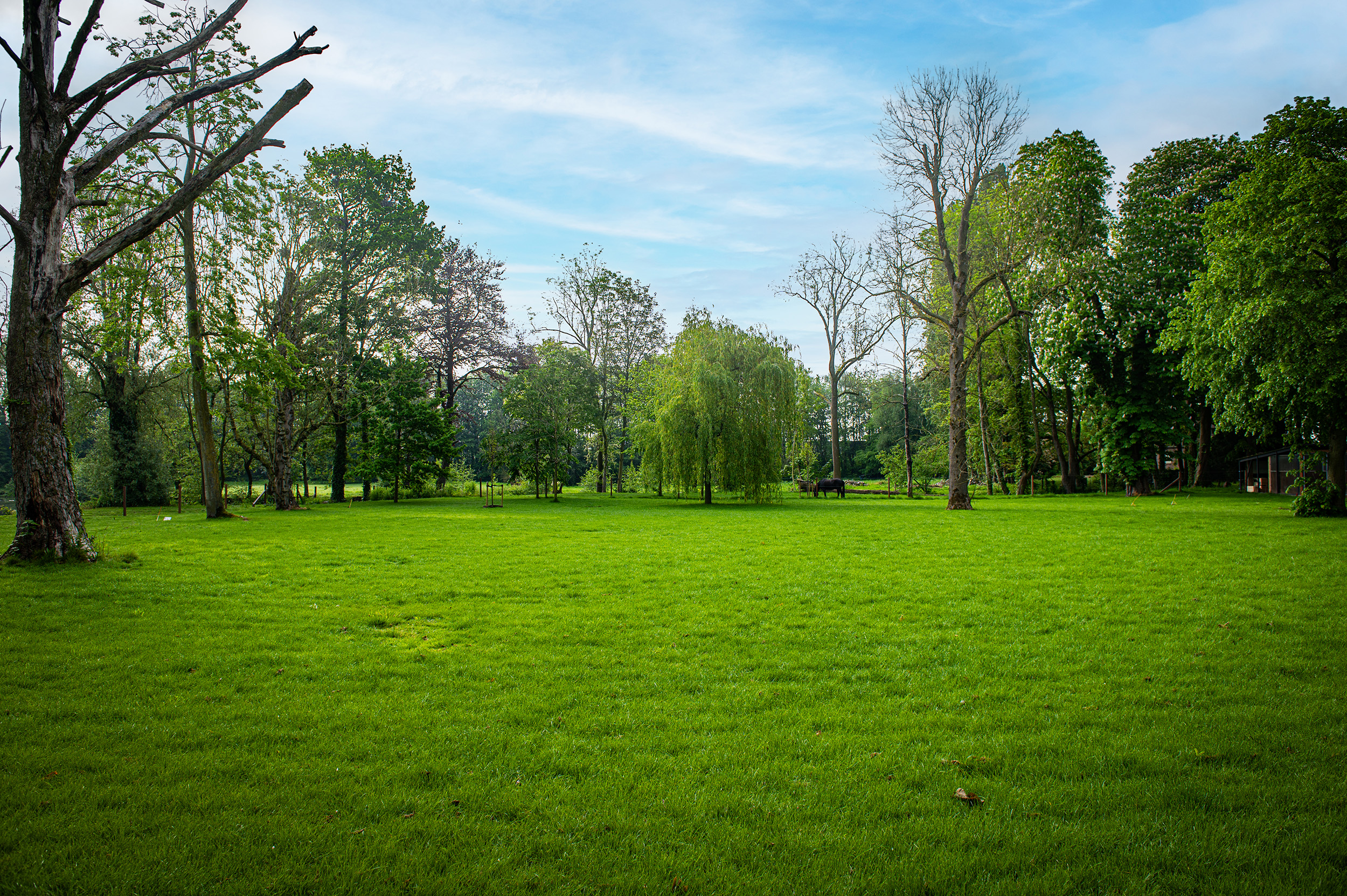 Parktuin