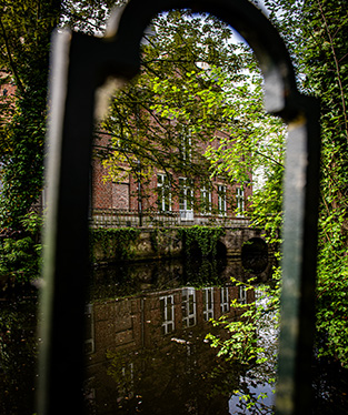 Parkvijver
