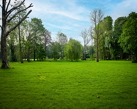 Parktuin Reiger Burg