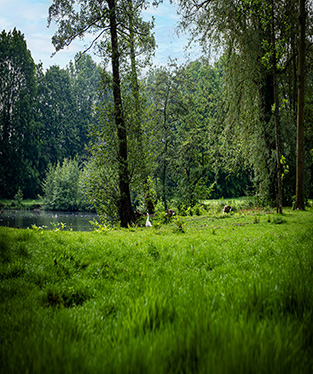 Parktuin Reiger Burg