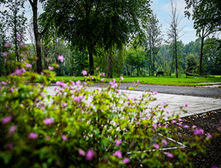 Parking Reiger Burg